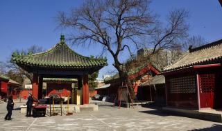 古代建筑博物馆 古代建筑博物馆